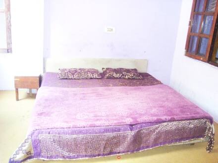 Hotel Thakur Palace, Manali 3